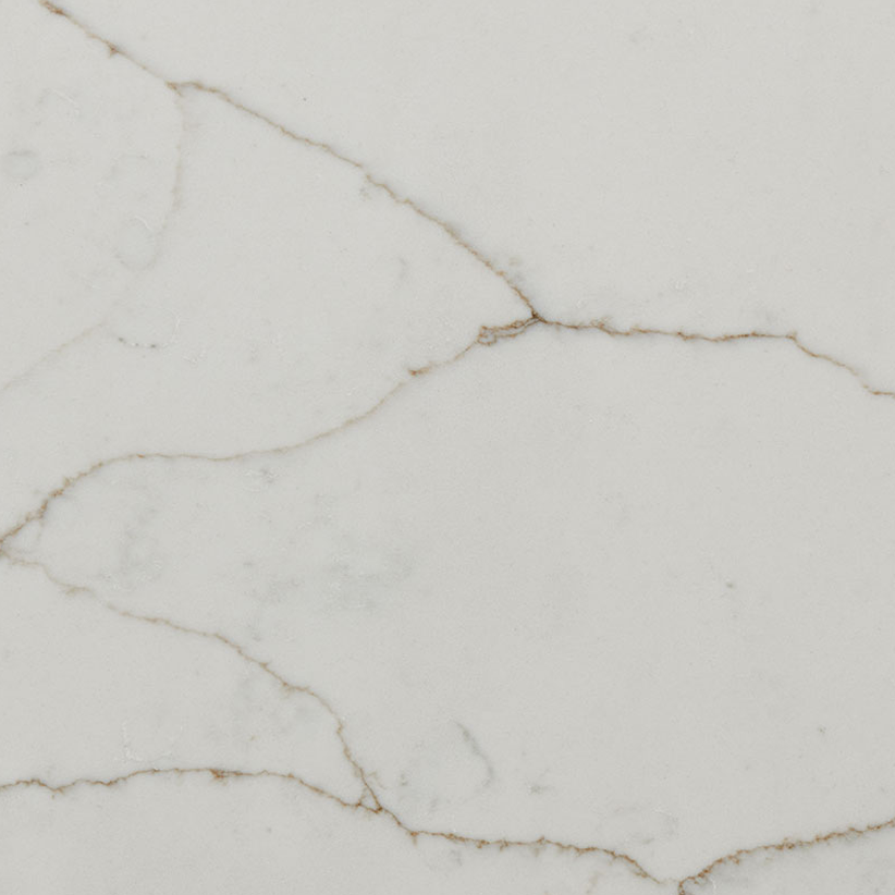 MSI Surfaces - Calacatta Prado Quartz Countertop